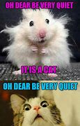Image result for Cat vs Mouse Meme