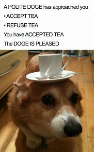 Image result for Funny Wholesome Memes