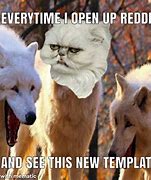 Image result for Wilfred Cat Meme