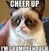 Image result for Funny Memes to Cheer People Up