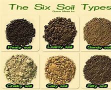 Image result for Soil Types