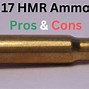 Image result for 17 HMR Bullet Speed
