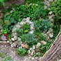 Image result for Permaculture Home
