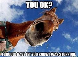 Image result for Horse Show Meme
