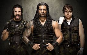 Image result for WWE Shield Vertical