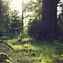 Image result for Nature Pics 4K