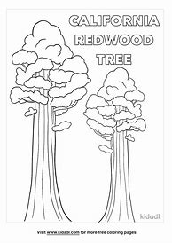 Image result for Redwood City California Weather