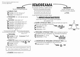 Image result for hemograma