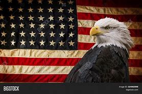 Image result for Bald Eagle Patriotic Symbol