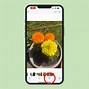 Image result for Identifying iPhone Model