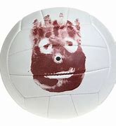Image result for Wilson Volleyball Chia Pet