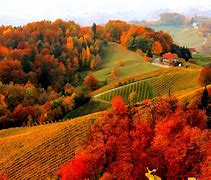 Image result for Amazing Nature Scenery Fall