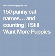 Image result for Punny Cat Names