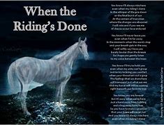 Image result for Favorite Horse Quotes