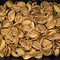 Image result for Pistachio Shells Combustible
