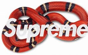 Image result for Snake Supreme LV