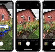 Image result for iPhone 11 Telephoto Quality