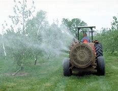 Image result for Farmer Spraying Apple