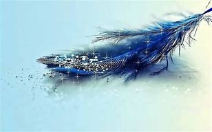 Image result for Feather PC Wallpaper