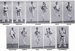 Image result for Kyokushin Karate Techniques