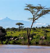 Image result for Best Places in Kenya