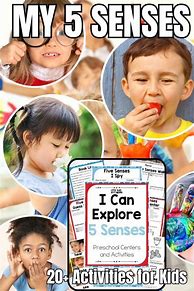 Image result for Five Senses Kindergarten Poster