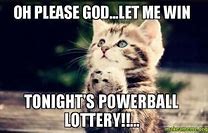 Image result for Lottery Cat Meme