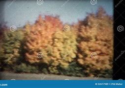 Image result for Maine 8Mm Trees Road 1960 Circa