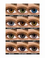 Image result for Air Optical Contact Lenses