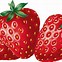 Image result for Cutted Strawberry Clip Art