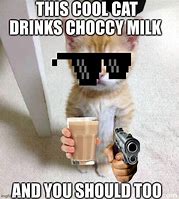 Image result for Cat Drinking Milk Meme