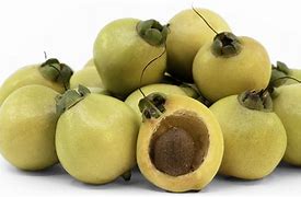 Image result for Yellow Rose Apple
