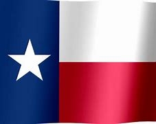 Image result for Chcker Flag