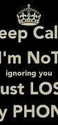 Image result for Lost My Phone Quotes