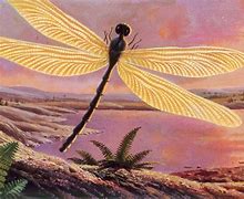 Image result for Giant Insects Prehistoric