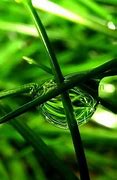 Image result for Green Wallpaper for Android Phone