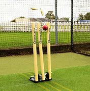 Image result for Cricket Wickets Spring