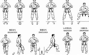 Image result for Different Martial Arts Stances