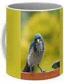 Image result for Funny Say What Now Mug