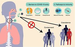 Image result for New Cases of Virus