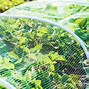 Image result for Vegetable Garden Portable Nets