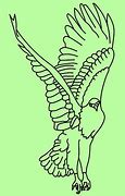 Image result for Eagle Head Sketch