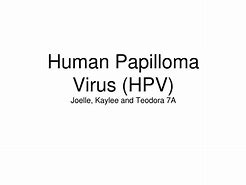 Image result for Human Papillomavirus Early Stages