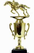 Image result for Horse Riding Trophy