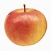 Image result for Michigan Apple Varieties