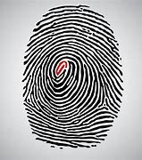 Image result for Fingerprint