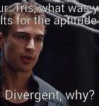 Image result for Divergence Maths Memes