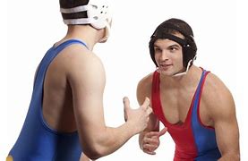 Image result for Greco Wrestling Moves