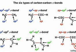 Image result for Sp3 Hybridization Examples