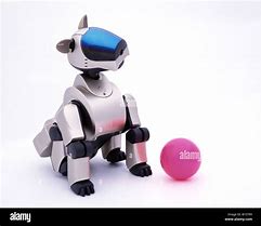 Image result for Aibo 210 Emogee